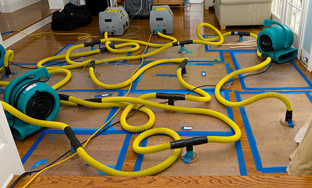 Professional Flood Damage Restoration technician working in Parker, CO